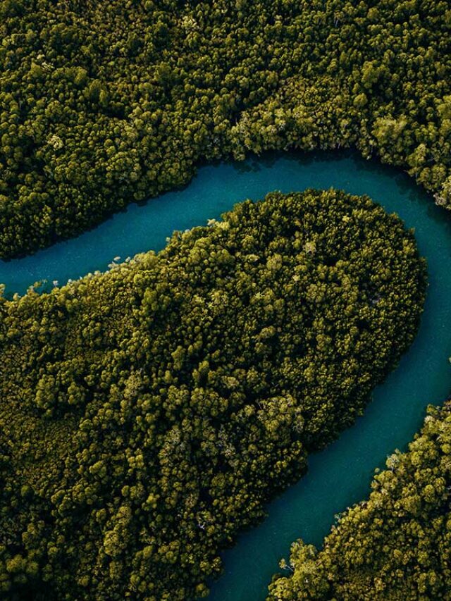 Sustainability News Roundup : Aug 22