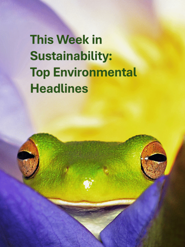 This Week in Sustainability: Aug 01, 2025